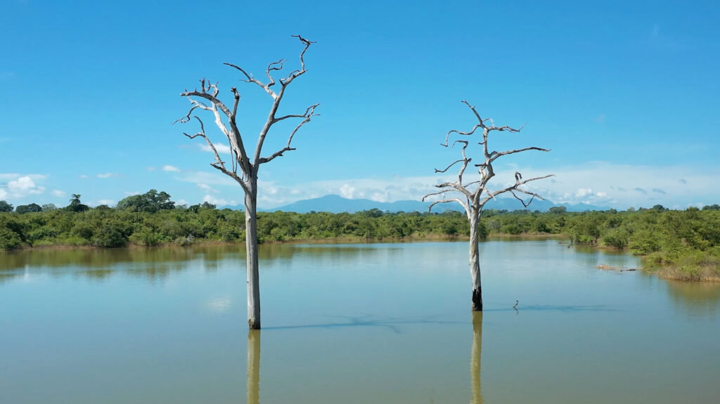 Turning the Tide: Launch Videos