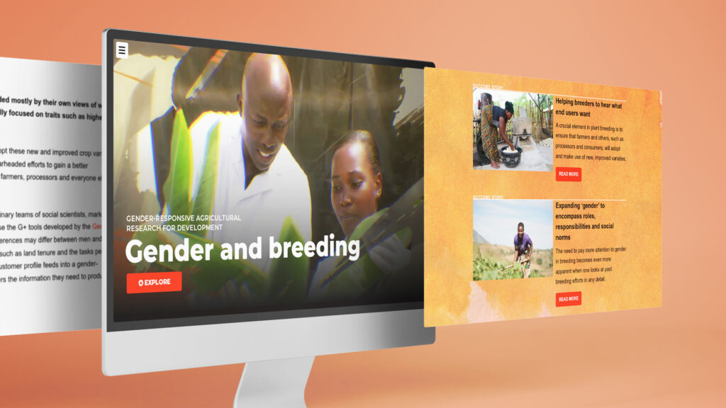 RTB Gender Portal and Outcome Stories