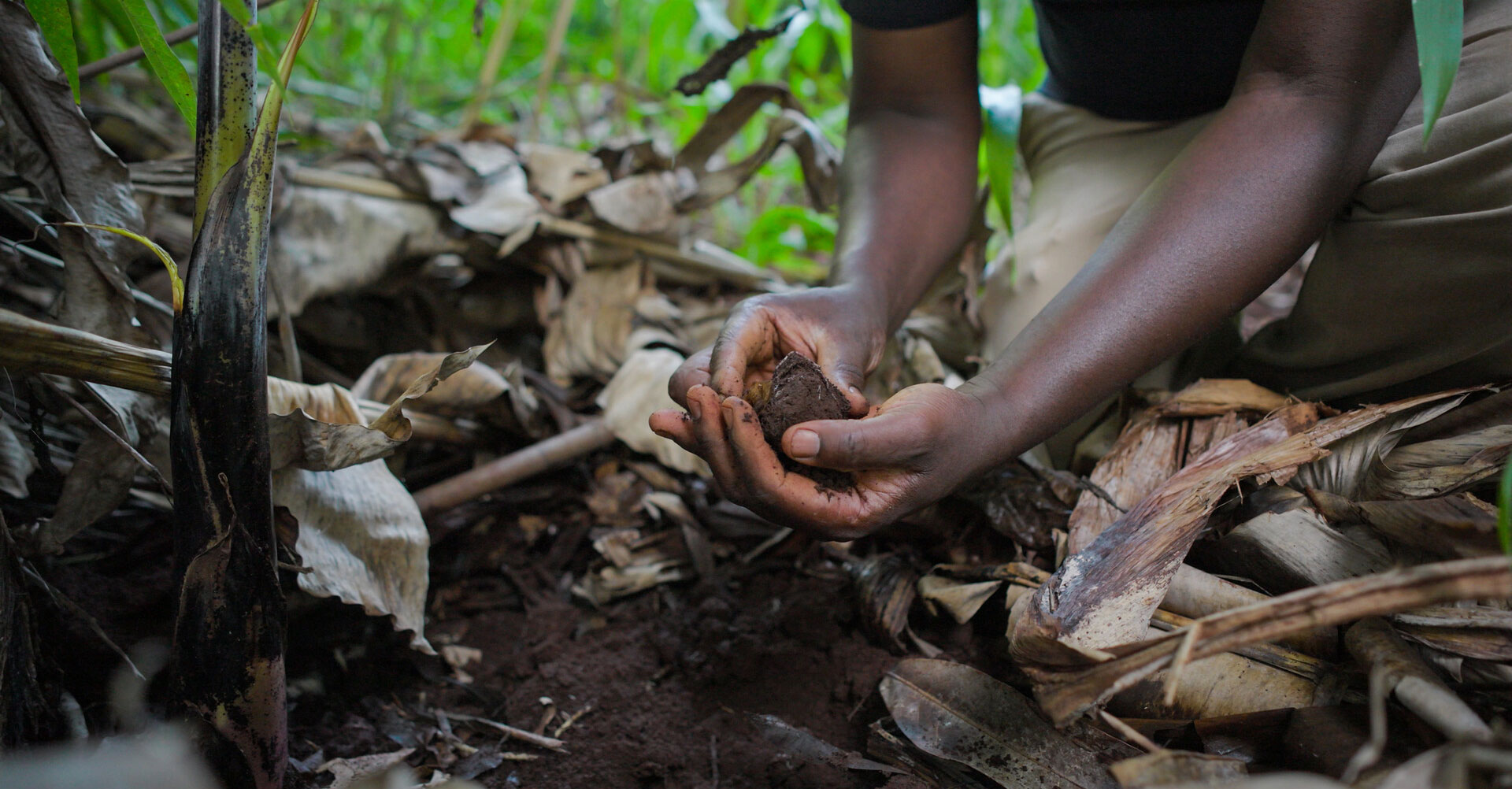 If Not for Farming: How soil can be the foundation for resilience, food and hope