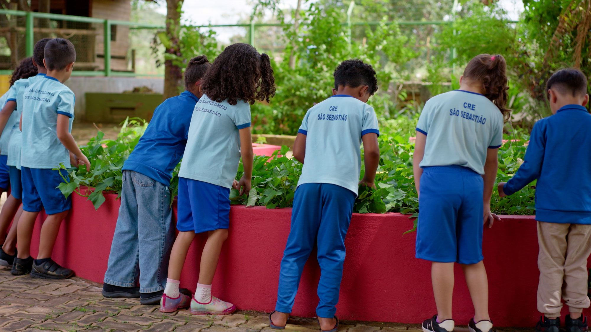 Documentary on Brazil’s National School Feeding Program