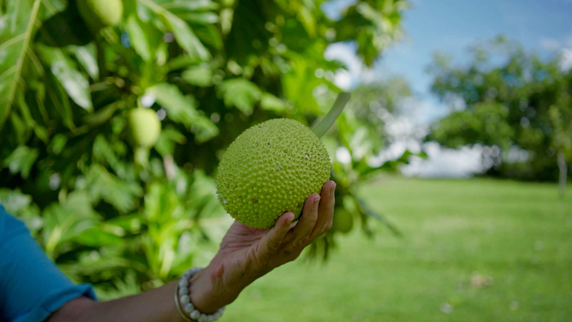 Reclaiming Traditional Foods for Health and Resilience in Fiji